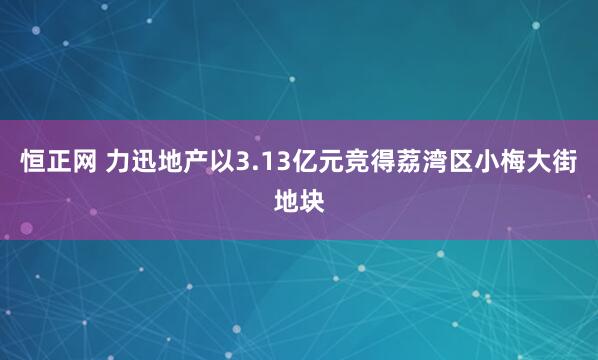恒正网 力迅地产以3.13亿元竞得荔湾区小梅大街地块