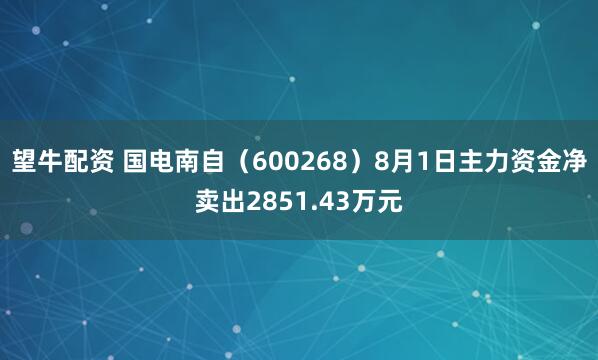 望牛配资 国电南自（600268）8月1日主力资金净卖出2851.43万元